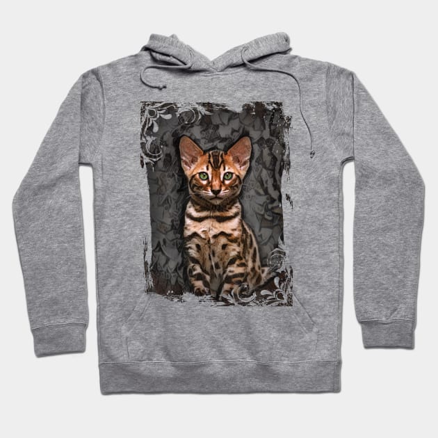 Bengal Kitten On Textured Background Hoodie by PhotoArts